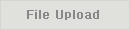 File Upload